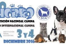 EXPOCACHORRO à l'IFA, les 3 et 4 décembre EXPOCACHORRO IFA, Alicante, 3 et 4 décembre 2016