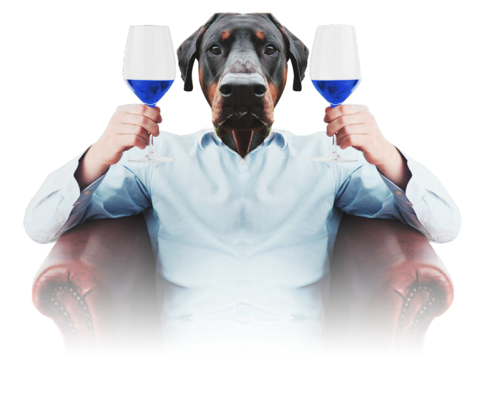 Spanisches Unternehmen produziert elektrisierend blauen Wein Spanisches Unternehmen produziert elektrisierend blauen Wein