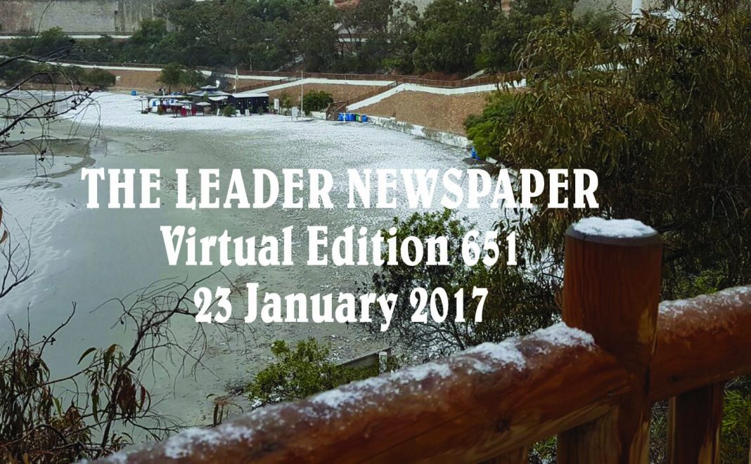 01_VIRTUAL LEADER