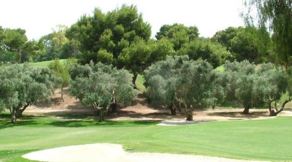 ‘Mike Probert talks Golf (Sponsored by Costa Blanca Green Fee Services).