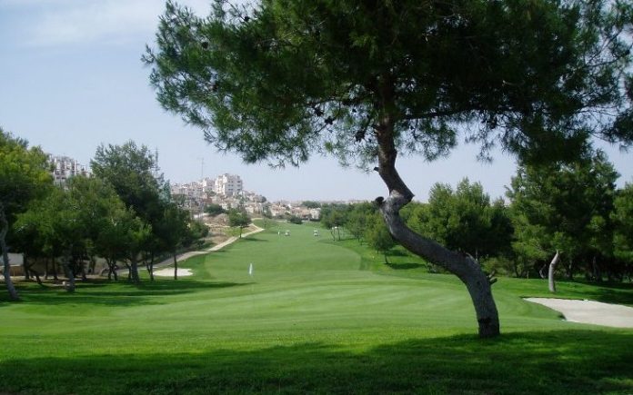 OLYMPUS DIGITALE CAMERA