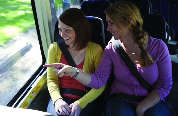 15_cintura_di_sicurezza