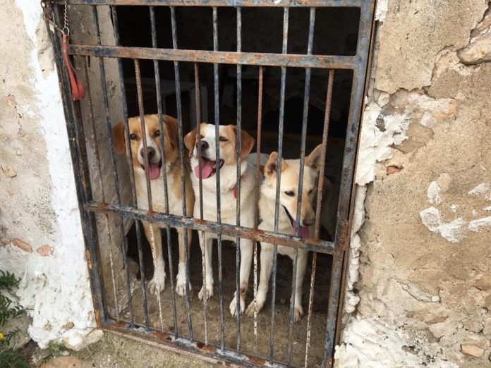 17458066_10209359664896774_44512730995344600_n