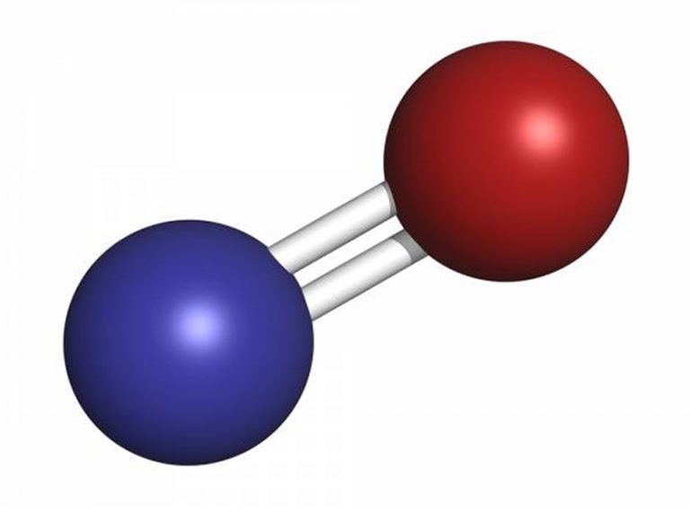 What Does Nitric Oxide Do In Inflammation