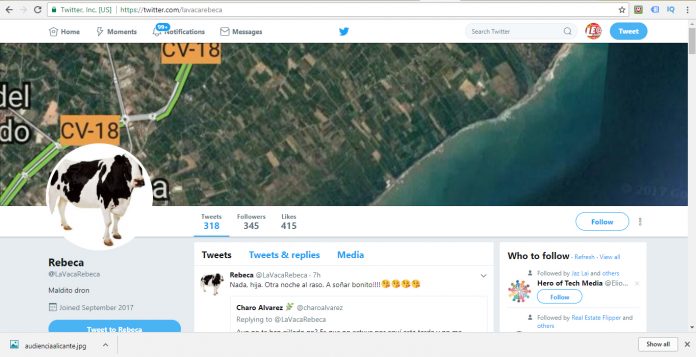 Rømt ku har sin egen Twitter-profil - @LaVacaRebeca - hvor hun ber om å få være i fred for å nyte friheten sin (Foto: Twitter/@LaVacaRebeca) Rømt ku har sin egen Twitter-profil - @LaVacaRebeca - hvor hun ber om å få være i fred for å nyte friheten sin (Foto: Twitter/@LaVacaRebeca)