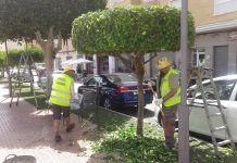 Orihuela kommune leier varebiler for å flytte ansatte fra byen til kysten Orihuela kommune leier varebiler for å flytte ansatte fra byen til kysten
