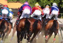 How Madrid Became the Home of Horse Racing in Spain How Madrid Became the Home of Horse Racing in Spain