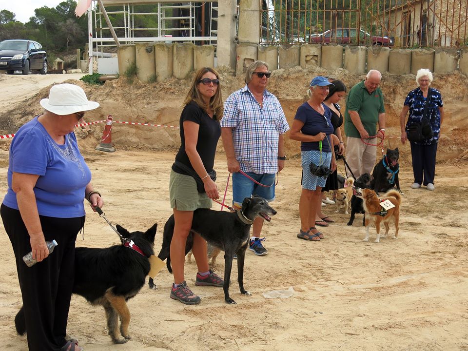 FUN DOG SHOW at Finca Villamartin on Saturday