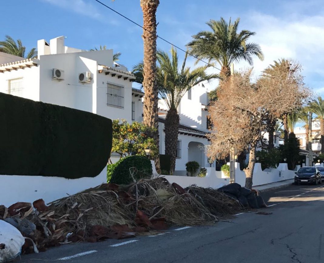 Orihuela fines triple for illegally dumping green waste