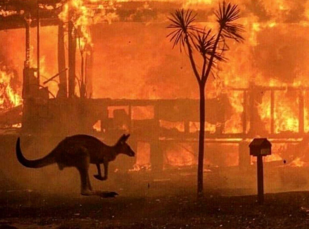 24 people charged in Australia for causing forest fires deliberately