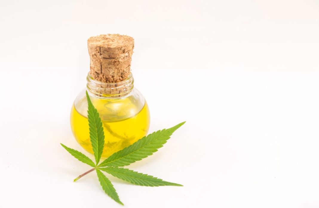 When is the Best Time to Take CBD Oil and 5 Other FAQs About CBD