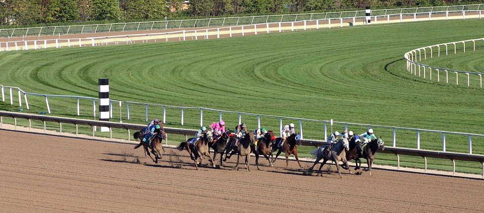 4 Practical Ways To Pick A Horse Race Track Property