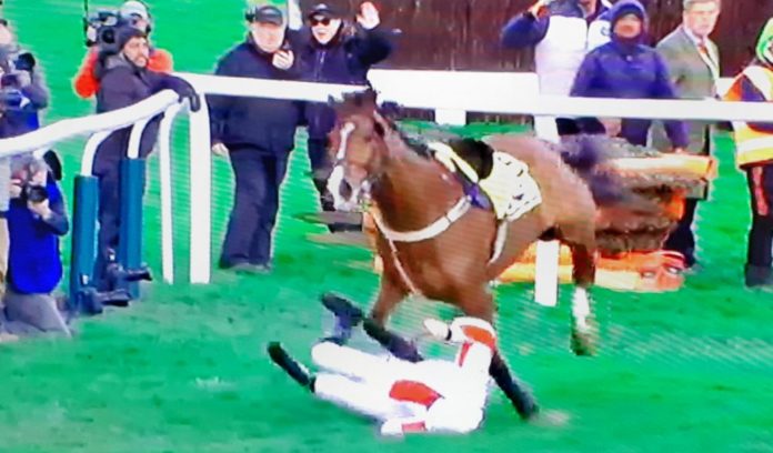 20200313_144335-1024x601