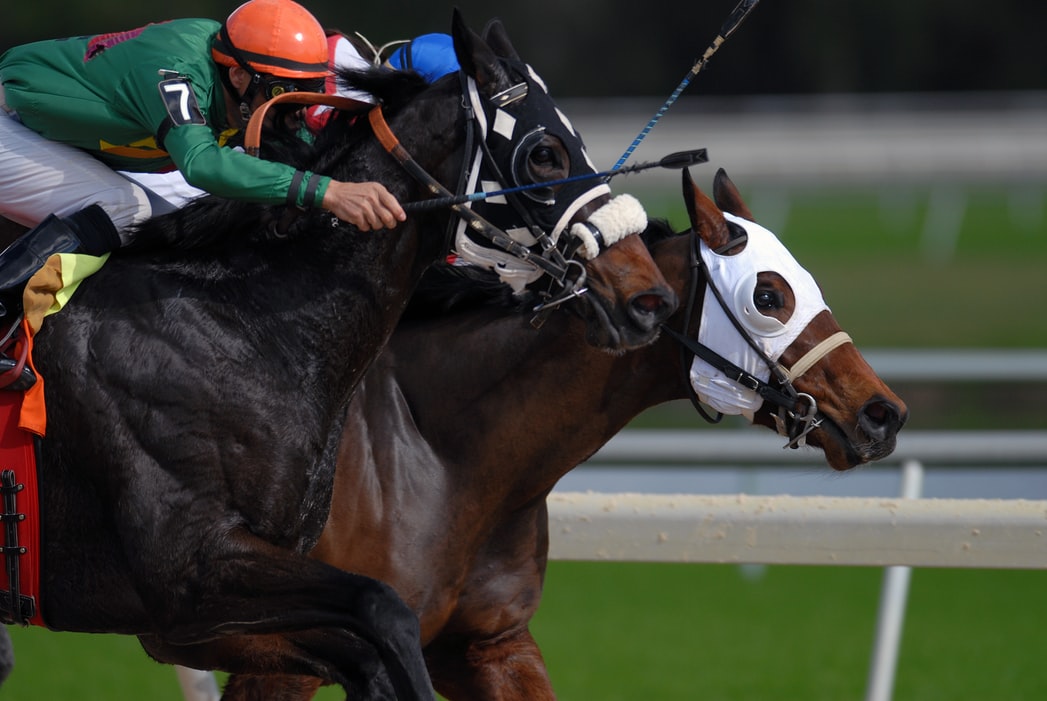 Tiz The Law and Swiss Skydiver win Florida Derby and Gulfstream Park Oaks