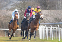 Which Sports Are Ready Made to go Virtual?