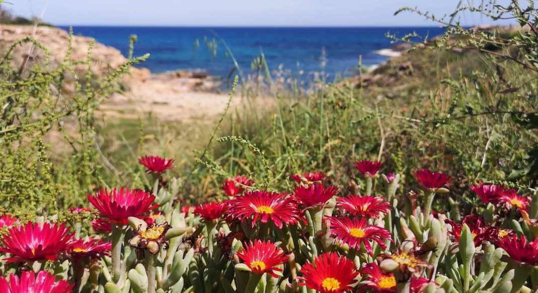 W tym tygodniu premier ogłosił w środę, że będzie ubiegał się o 30-dniowe przedłużenie lockdownu w parlamencie, ale w swoim telewizyjnym przemówieniu do narodu powiedział, że będzie to ostateczne. Na szczeblu lokalnym, Rada Miasta Orihuela wystawiła na sprzedaż 3 działki w Orihuela Costa, pomimo protestów mieszkańców, licząc na to, że zapewnią miejskim finansistom 20 milionów euro nieoczekiwanego zysku. W sporcie pojawiły się również informacje o powrocie LaLigi do treningów i powrocie Bundesligi do Niemiec.