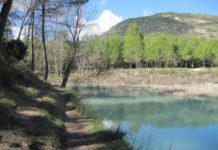 GRUPO DE COMPETENCIA DE CARPAS URBANAS (UCMG) El domingo 5 de enero de 2025, 13 de nosotros estábamos pescando en El Bosquet. Bueno, digo pescando, en este caso sería más apropiado decir "acompañados".