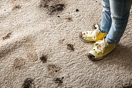 Eco-Friendly Carpet Cleaning Solutions For Your Home 