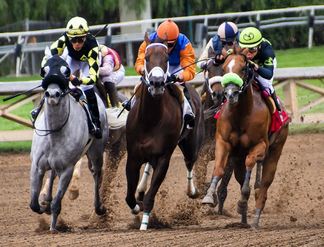 A Closer Look at the Kentucky Derby 2020: Top Contenders and Current Odds