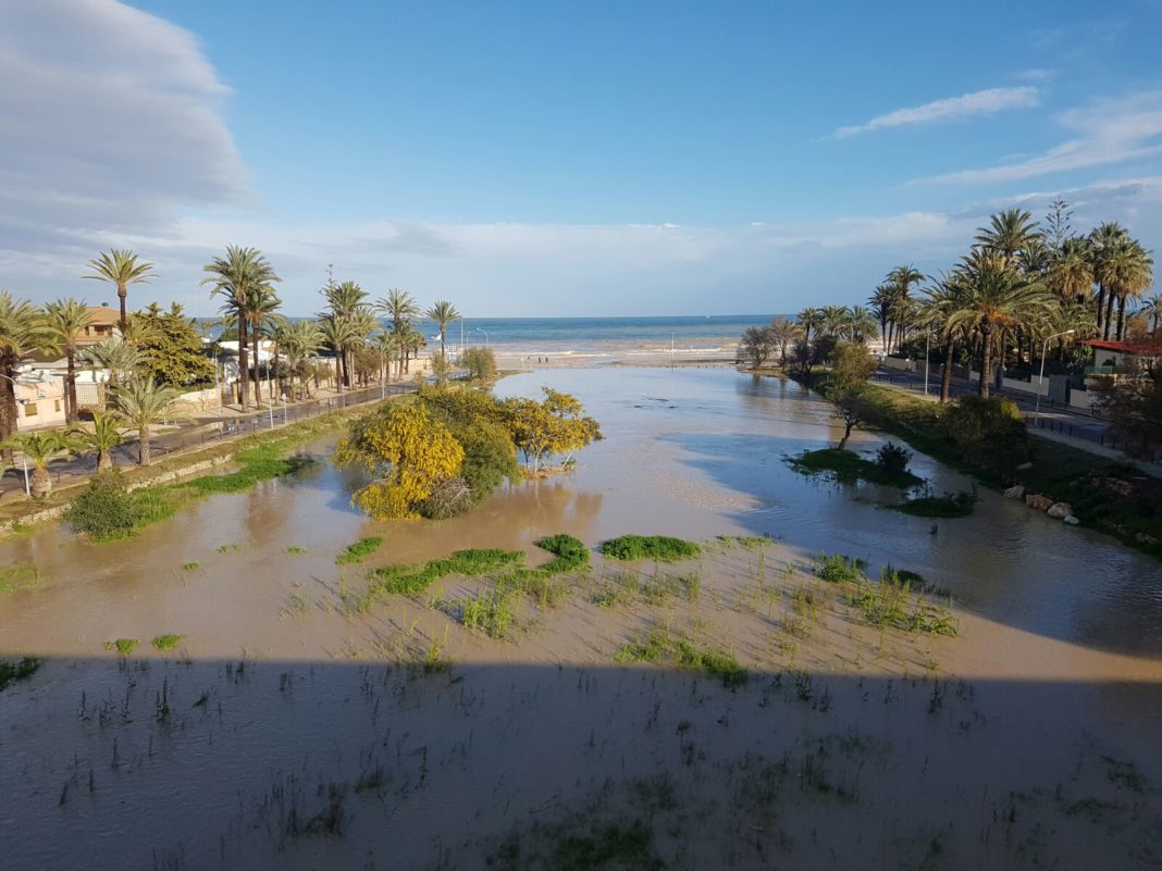 Ecologists propose to recover the lagoon of Campoamor beach in Orihuela Costa