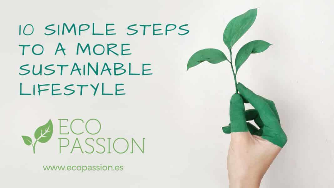 10 simple steps to a more sustainable lifestyle