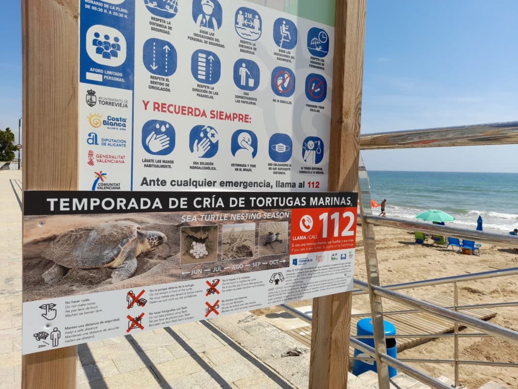 Annual campaign to protect nesting of sea turtles on beaches