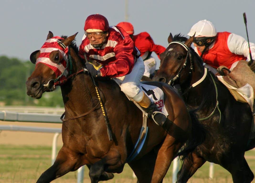 Melbourne Cup International Horses
