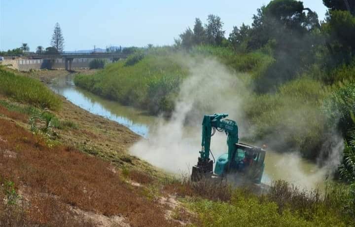 Reed beds removed from the Río Segura by Almoradi
