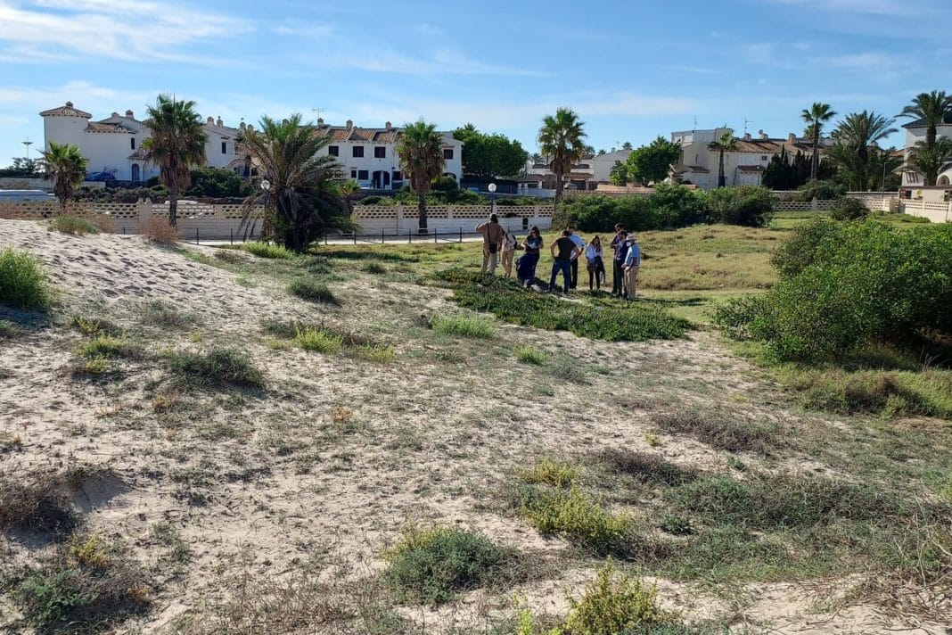 Dune ecosystems to be conserved at La Glea and Cala Bosque Beaches