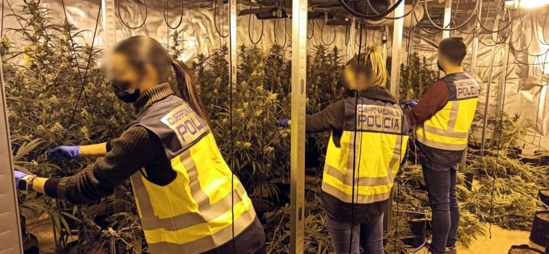 Detenido un importante grupo de narcotraficantes en Elche