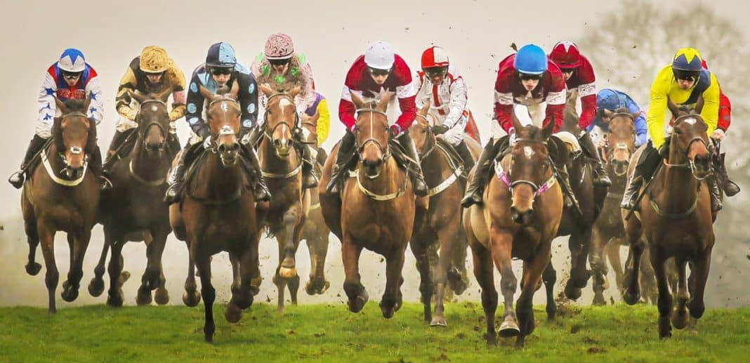 Why Backing the Irish is your Best Bet at Cheltenham