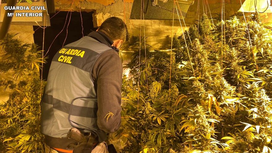 Three arrested in Rojales for sending marijuana to Ireland and the Netherlands