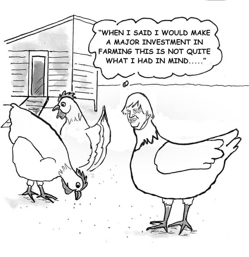 You Can’t Be Serious - Let’s hear it for the Humble Hen …!