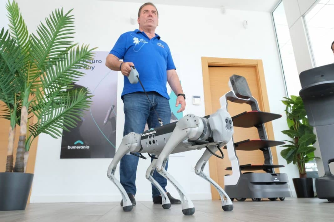 Elche Company unleashes robotic dogs