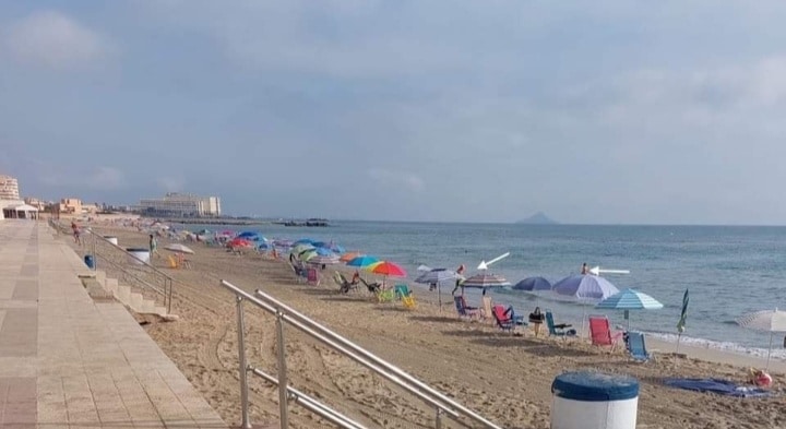 Brolly good: Spanish beach 7.30am. 20 umbrellas and 2 people.