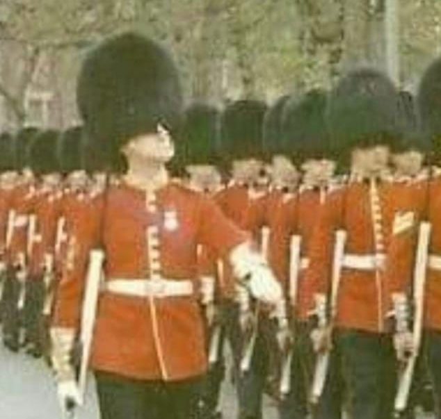  David Pritty: Trooping of The Colour.