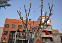 Irrigation Work Improvements Set for San Fulgencio San Fulgencio