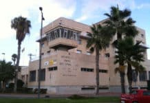 Highest Social Security Contributors on Record in Elche
