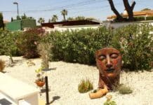 Campoverde Open Garden Day Basked In The Sunshine