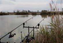 GRUPO DE COMPETENCIA DE CARPAS URBANAS El domingo 26 de enero nos reunimos 11 de nosotros en El Bosquet Fisheries para nuestro segundo partido de liga y dijimos 'adiós' a enero, que terminó con una explosión, bueno, para un pescador así fue.