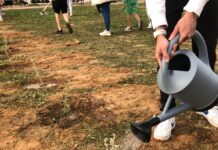 Schoolchildren Plant 900 Trees Across Torrevieja and Orihuela The students successfully planted 650 trees and shrubs across three designated plots