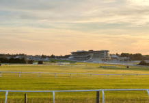 Three outsiders to consider for the Cheltenham Gold Cup The Cheltenham Festival is on the horizon, and the Gold Cup appears to already be a foregone conclusion.