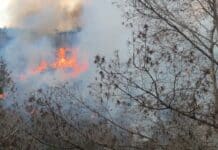 Пожар на пляже Лас-Рамблас Поскольку пламя продолжает подниматься по крутому склону к квартирам на улице Олеза, 2, пожарные пытаются потушить папоротник, окружающий около 30 домов.