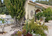 Campoverde in Bloom: Discover the Joy of Local Gardens Campoverde Open Garden Day will be returning on Saturday May 24th and will give everyone an opportunity to visit some of the interesting gardens in the village.