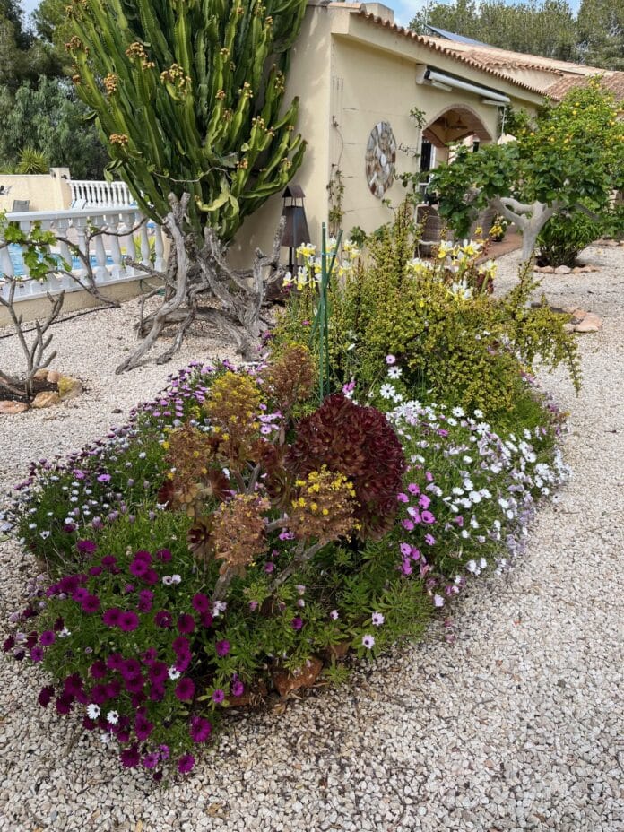 Campoverde Åpen Hagedag er tilbake lørdag 24. mai, og vil gi alle muligheten til å besøke noen av de interessante hagene i landsbyen.