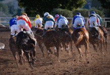 What 5/1 Really Means at the Preakness Stakes in 2025 In a race like the Preakness Stakes—one of the most bet-on events in American flat racing—understanding what 5/1 truly represents can help you wager with clarity rather than instinct.