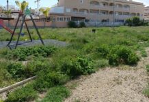 Kommunale Übernahme lässt 50 % der Parks von Orihuela Costa ungepflegt The municipal company’s current contract covers 1.1 million square meters, while a previously scrapped tender included all 2.5 million square meters along the coastline.