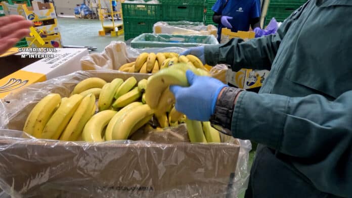 L'affaire a débuté suite à une plainte de l'Association des producteurs de Plátano de Canarias