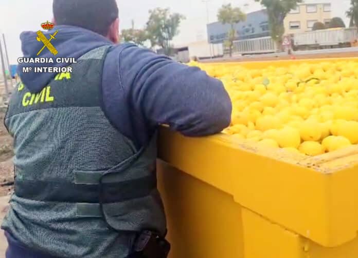 Operation “Hot Lemon” has led to the formal investigation of the three businessmen involved, who now face serious criminal charges.