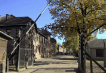 Best way to get from Krakow to Auschwitz – transport options compared You can get to this memorial site in several different ways: by rented car, taxi, bus, train or a comprehensively organised transport service